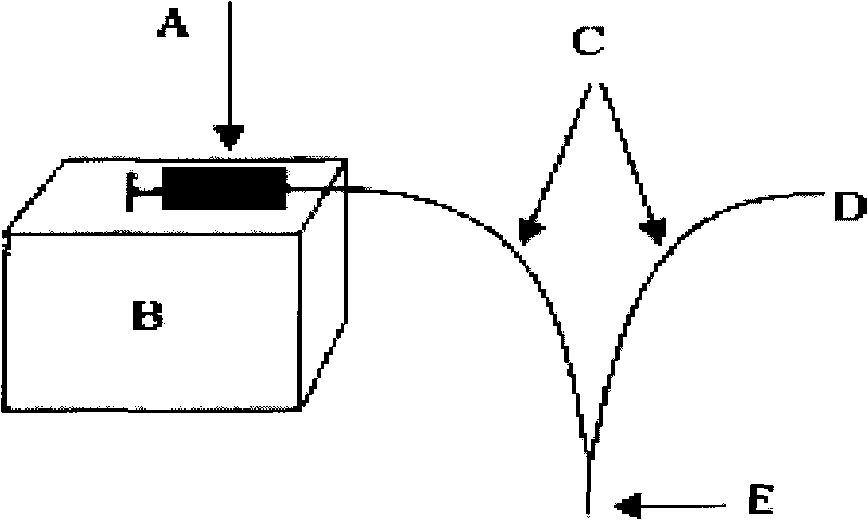 Method for testing plant endogenous hormones