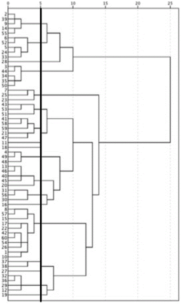 Consumer preference-based method for fast establishing SUV product family genetic pool and generating new product