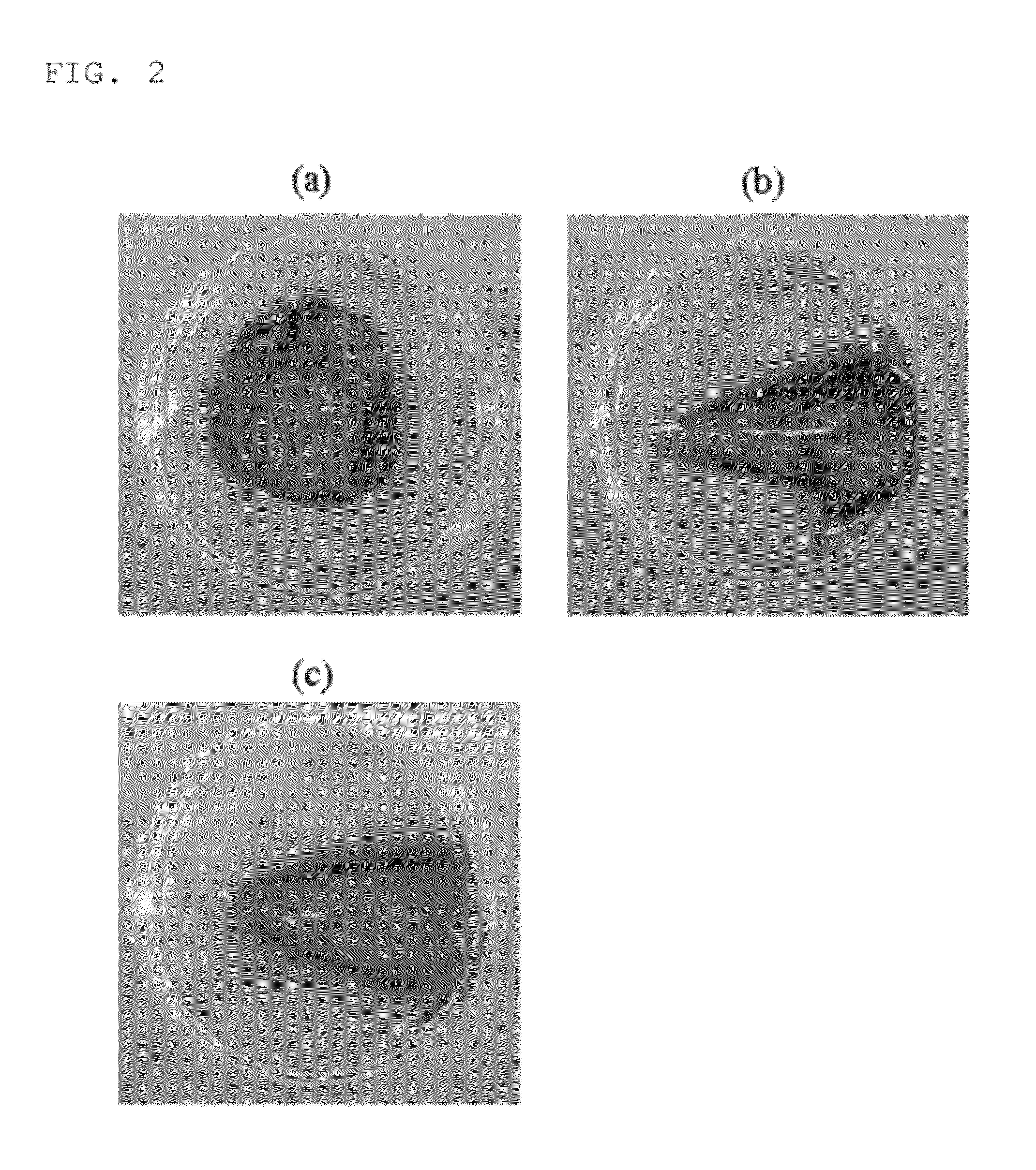 Composition for inducing tissue regeneration by activating platelet-rich plasma (PRP)