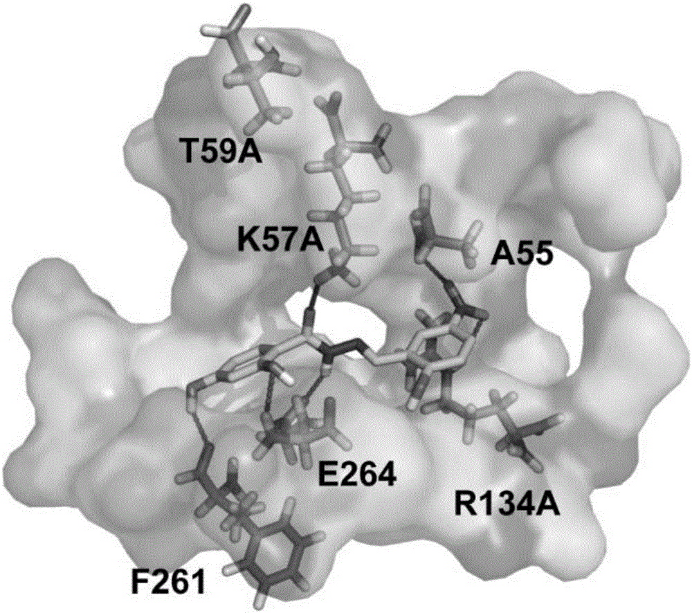 Benzoyl hydrazine allosteric inhibitor for D-3-phosphoglycerate dehydrogenase and applications of benzoyl hydrazine allosteric inhibitor