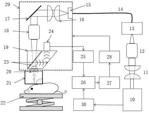 Photoacoustic microscope and method for monitoring breaking of microvesicles in biological tissue