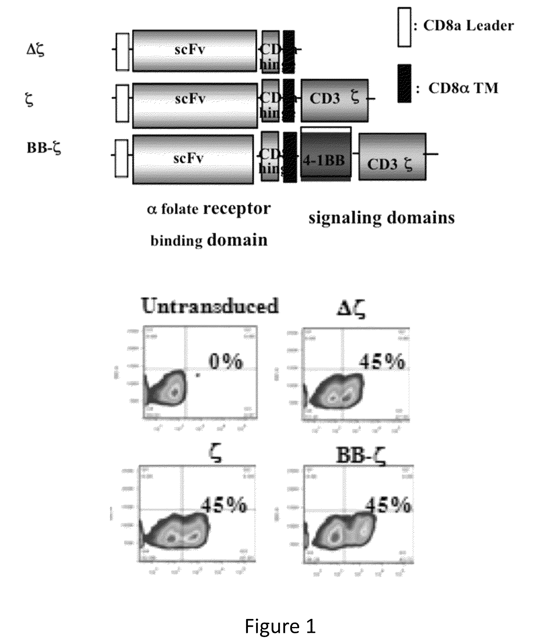 Compositions and methods for treating cancer