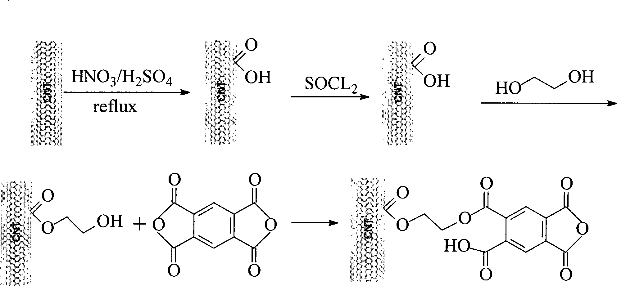 Functionalized carbon nano-tube used as solidifying agent of epoxy resin and preparation method