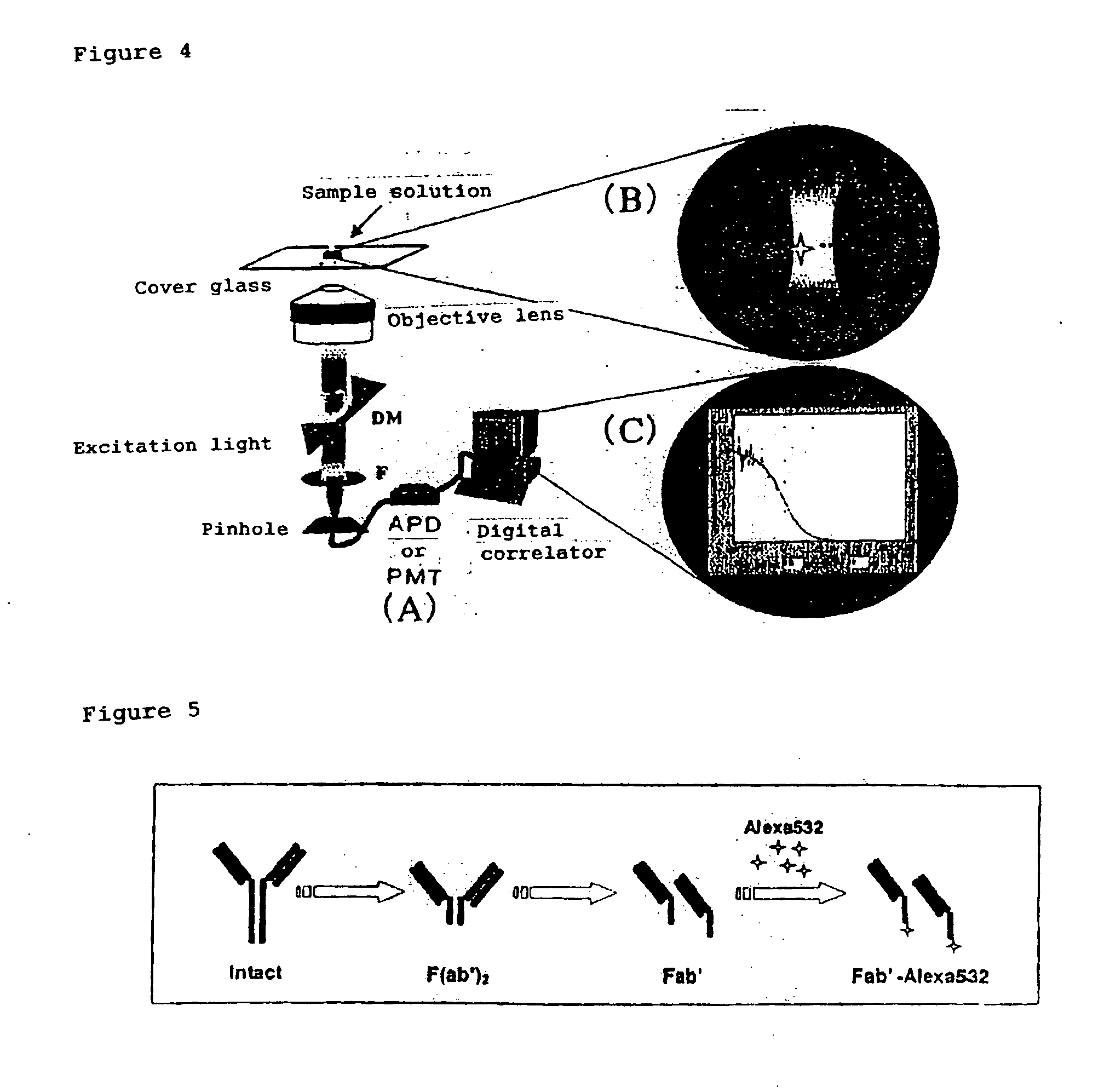 Method of quickly detecting and/or assaying antigen by fluorescence correlation spectrometry