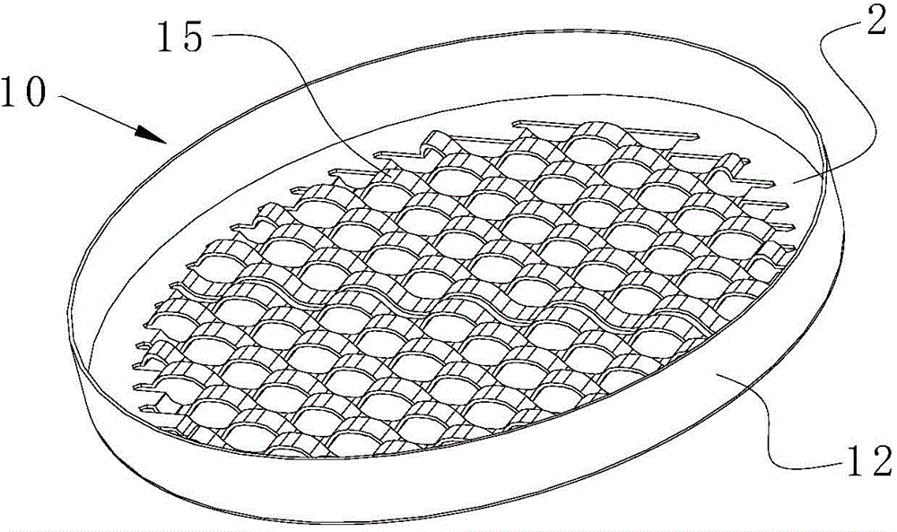 Coin cells and coin cell current collectors