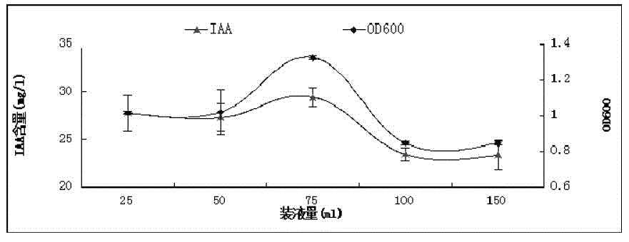 Peanut rhizosphere growth-promoting bacteria HS11 and application thereof