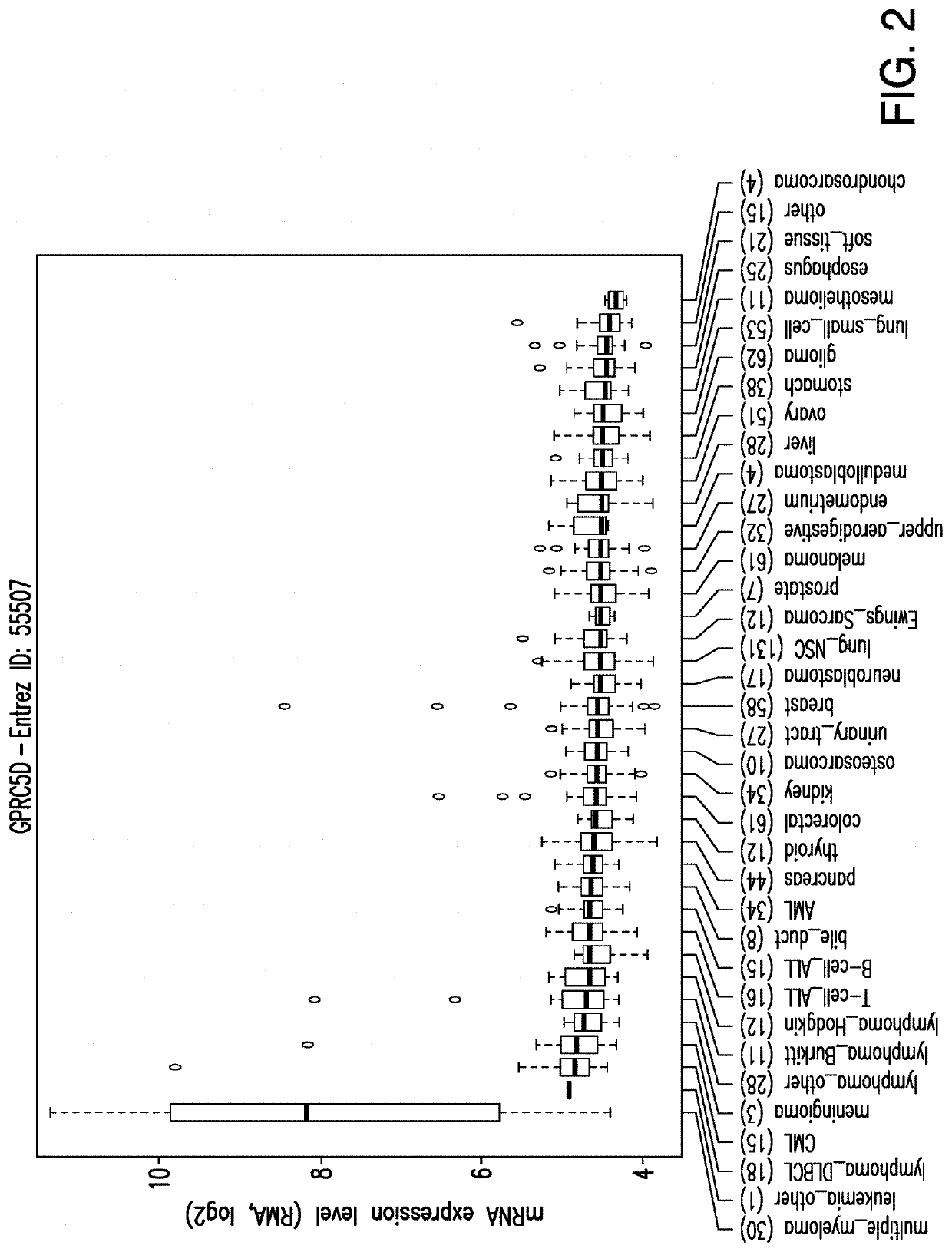 Nucleic acid molecules encoding chimeric antigen receptors targeting g-protein coupled receptor