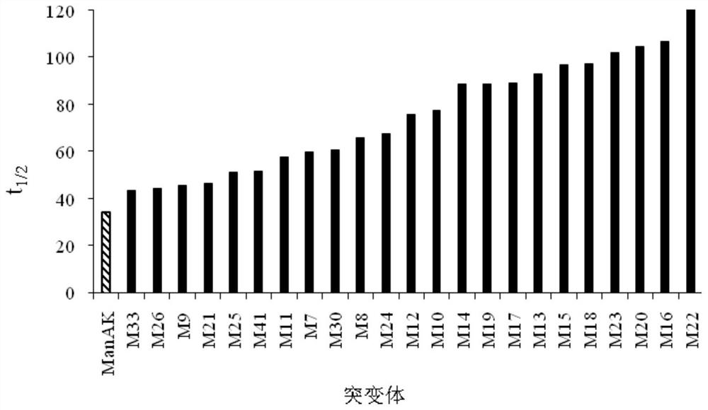 Beta-mannase heat-resistant mutant M20, recombinant strain and application of recombinant bacterium