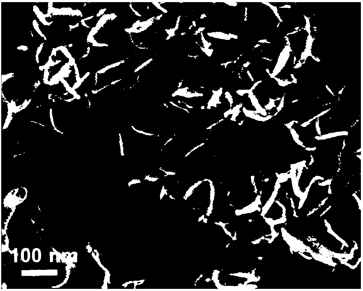 High-performance lithium ion battery aluminum-based negative electrode material and preparation method thereof