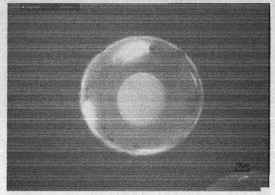 An expandable polystyrene/sio  <sub>2</sub> Preparation Technology of Airgel Core-Shell Composite Particles