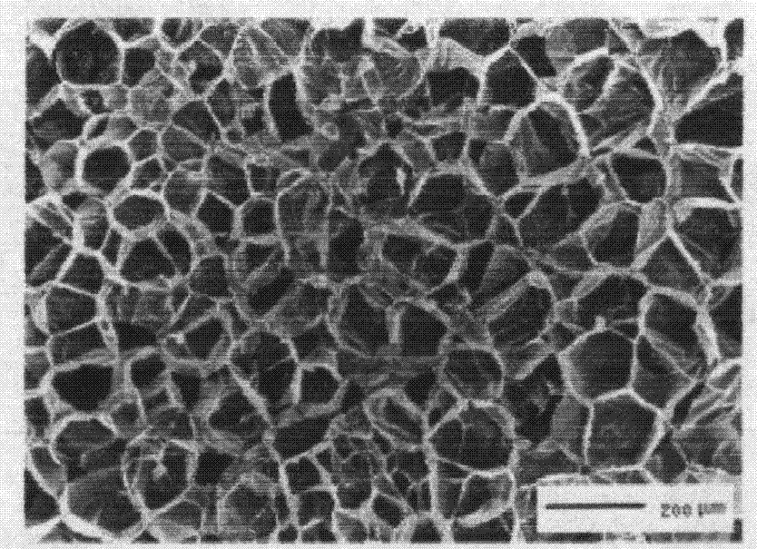 An expandable polystyrene/sio  <sub>2</sub> Preparation Technology of Airgel Core-Shell Composite Particles