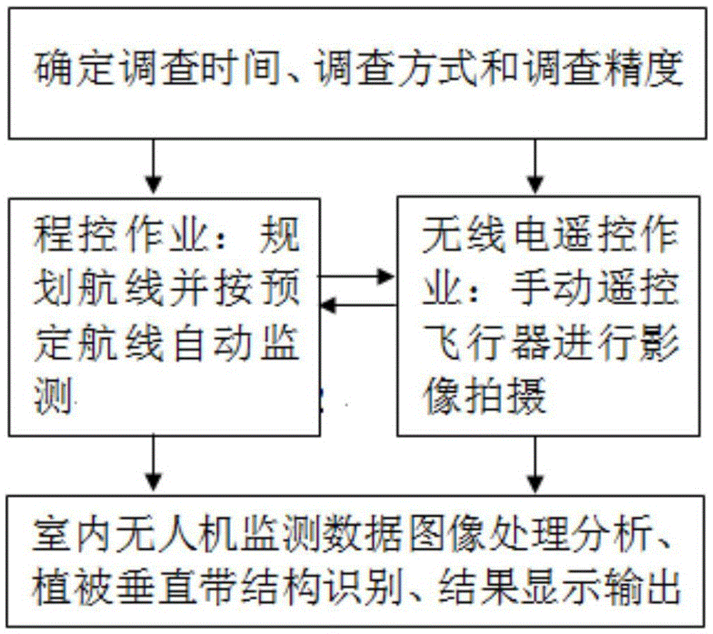 Mountain vegetation vertical zone investigation monitoring method based on UAV