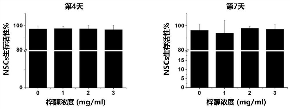 Application of catalpol in promoting the differentiation of neural stem cells into oligodendrocytes