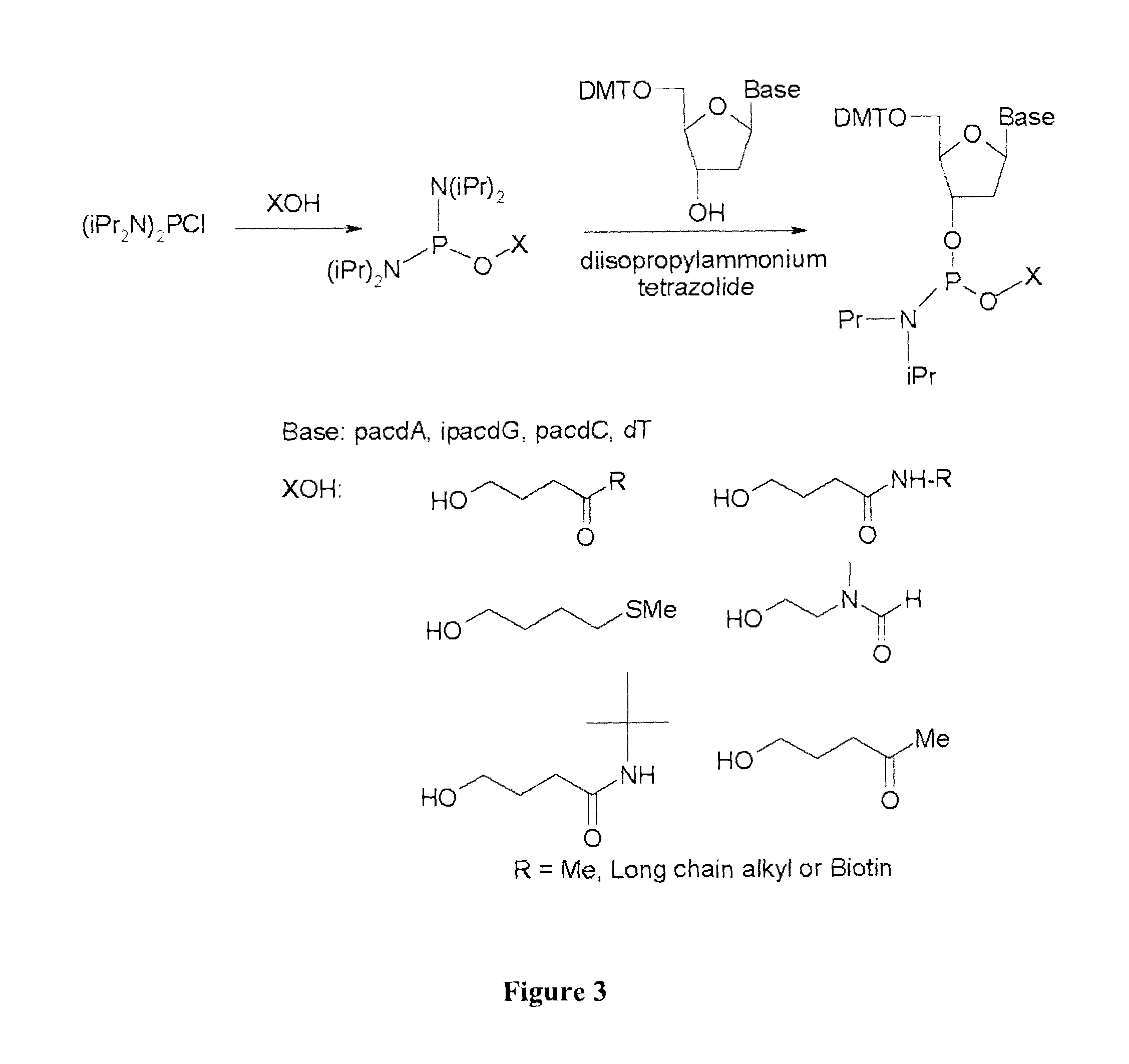 Phosphotriester-modified oligonucleotide primers for nucleic acid amplification