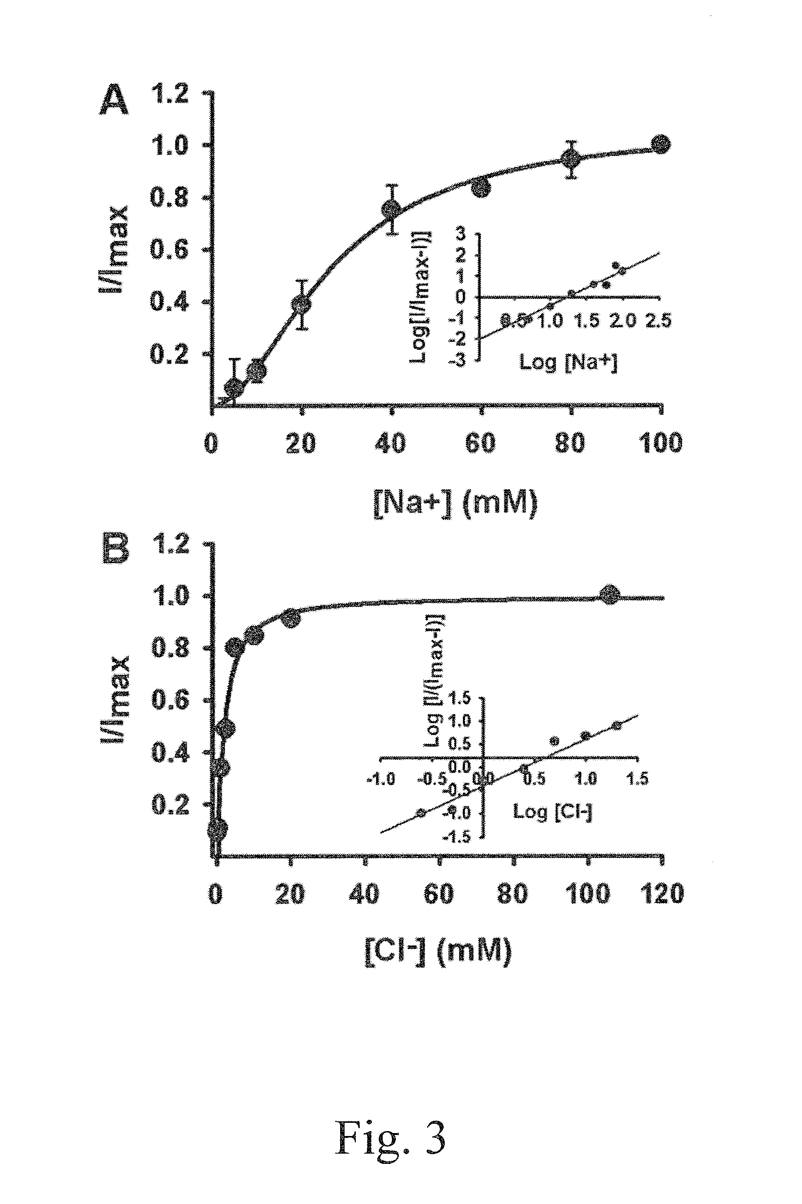 Inhibitors of the ATB(0,+) transporter and uses thereof