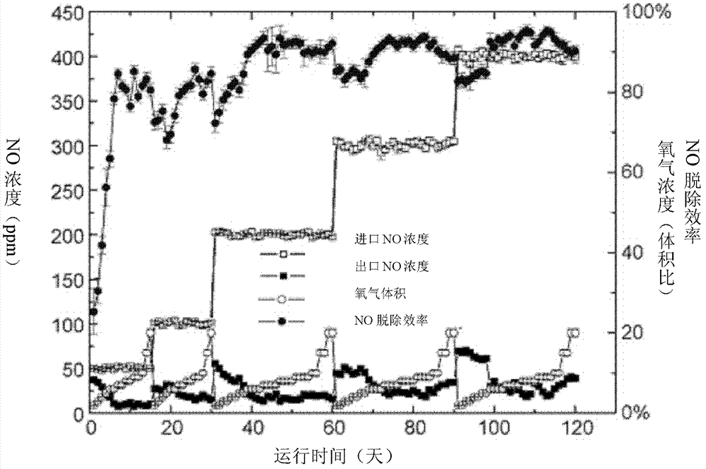 Chelatococcus daeguensis with good aerobic denitrification performance and application thereof