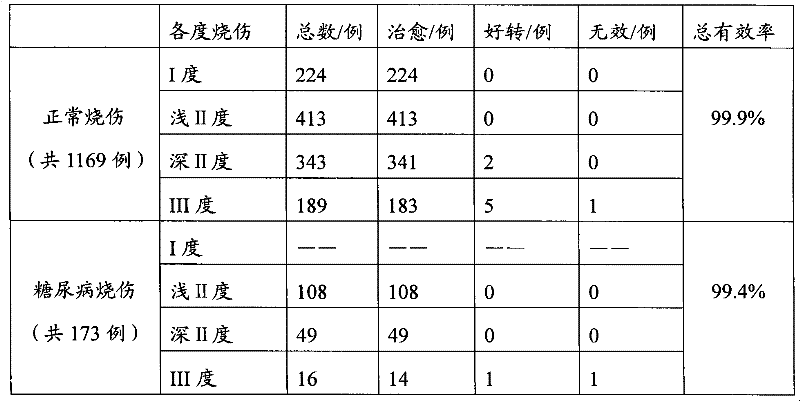 Chinese and western medicinal composition for treating empyrosis