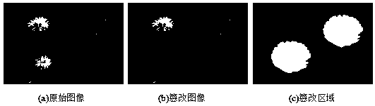 Homologous local copy detection method based on superpixel multi-feature matching