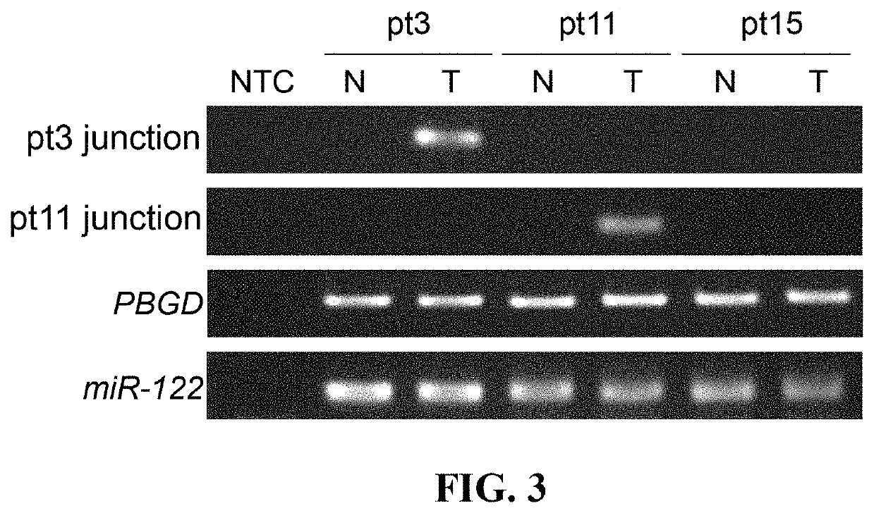 Probe combination for detection of cancer