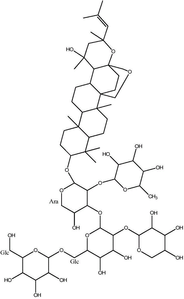 Spina date seed extract and brain-strengthening and sleeping-promoting oral liquid containing spina date seed extract