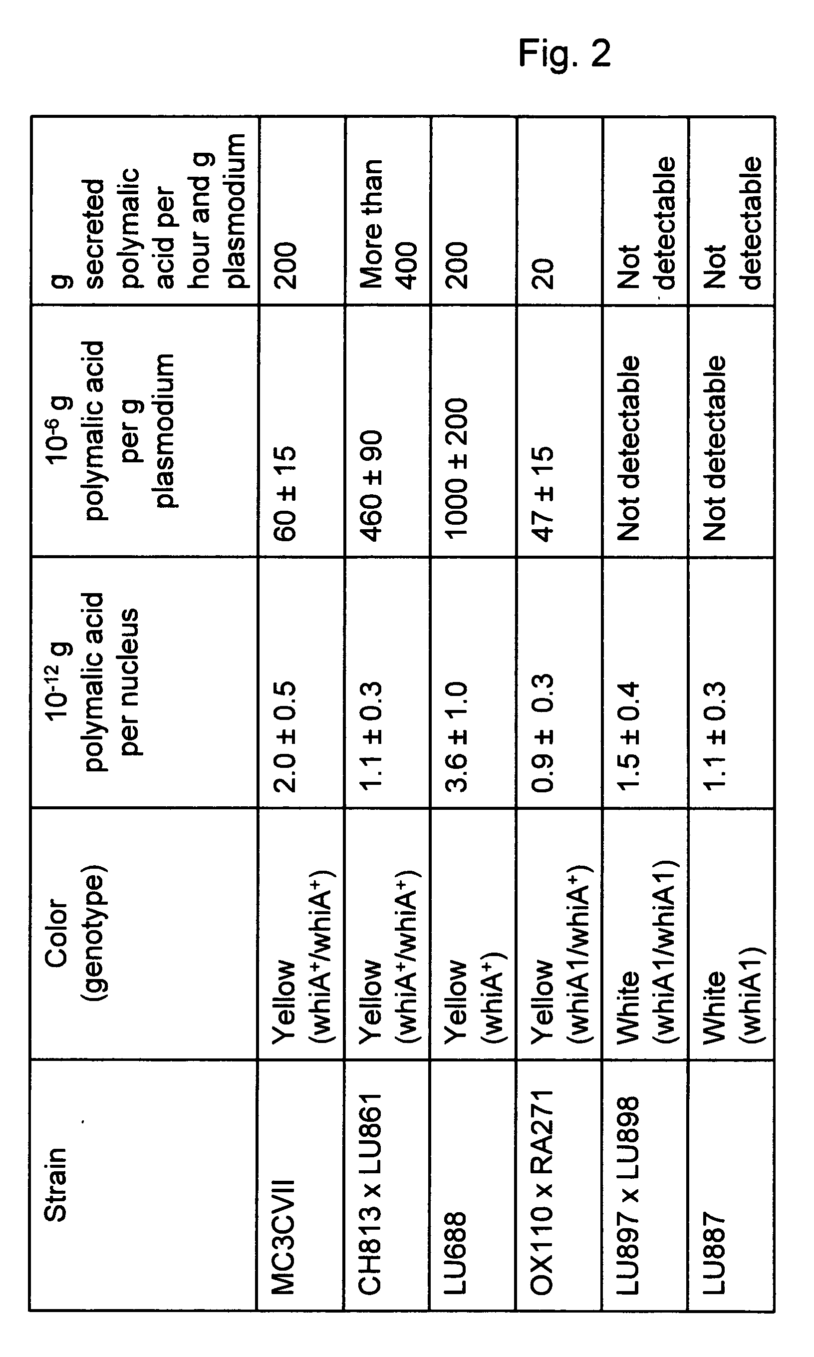 Production of long chain unbranched beta-poly(L-malic acid) by large scale Physarum cultivation and high-grade purification of the same