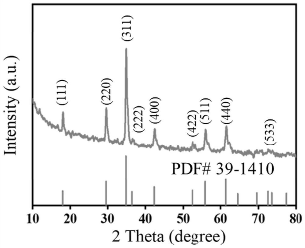 Preparation method and application of three-dimensional multistage flower-like cobalt-titanium spinel nano material