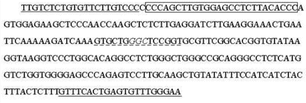 Kit for detecting EGFR gene hot spot mutation and detection method