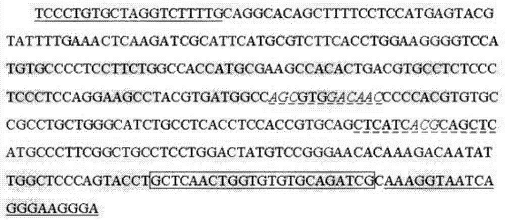 Kit for detecting EGFR gene hot spot mutation and detection method