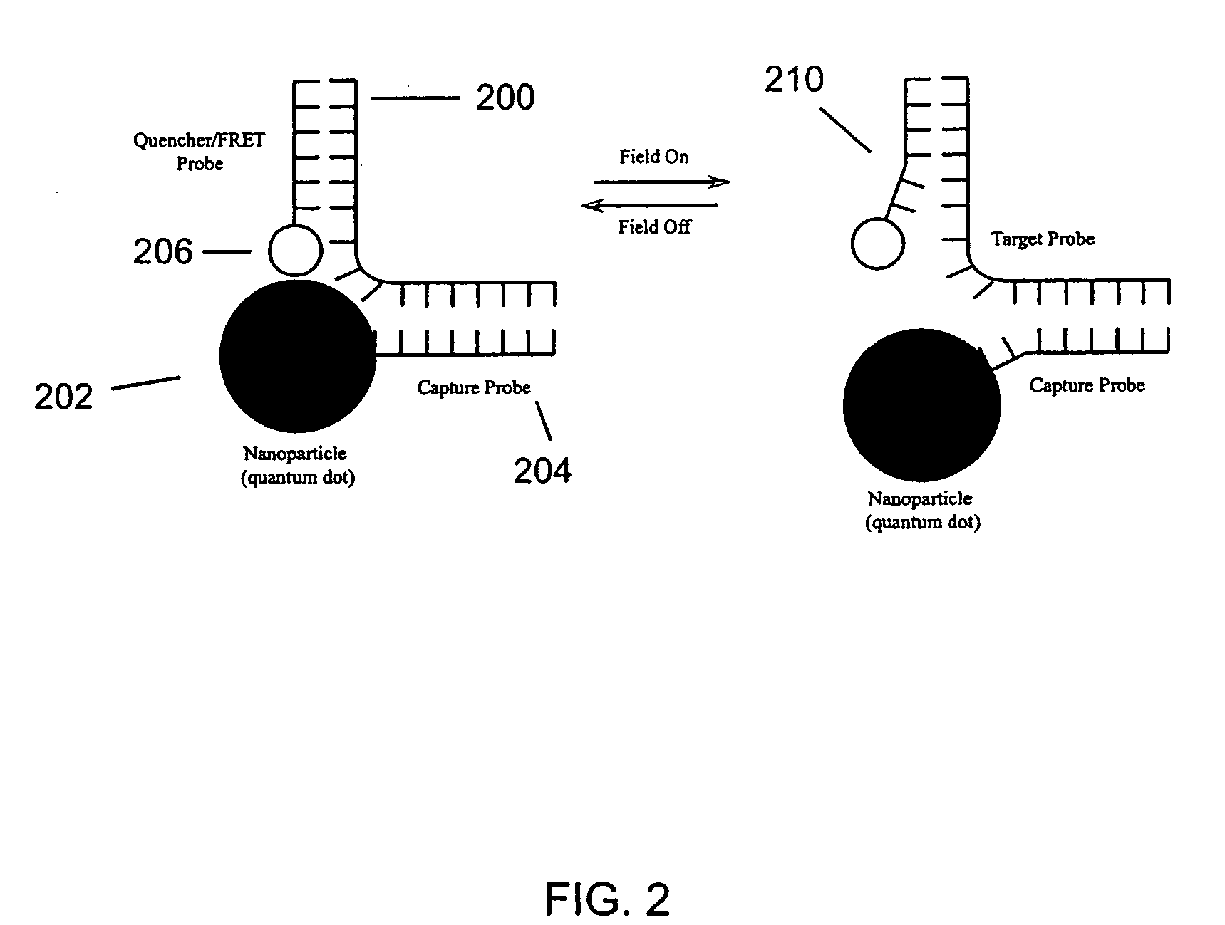 Nanoscale transduction systems for detecting molecular interactions