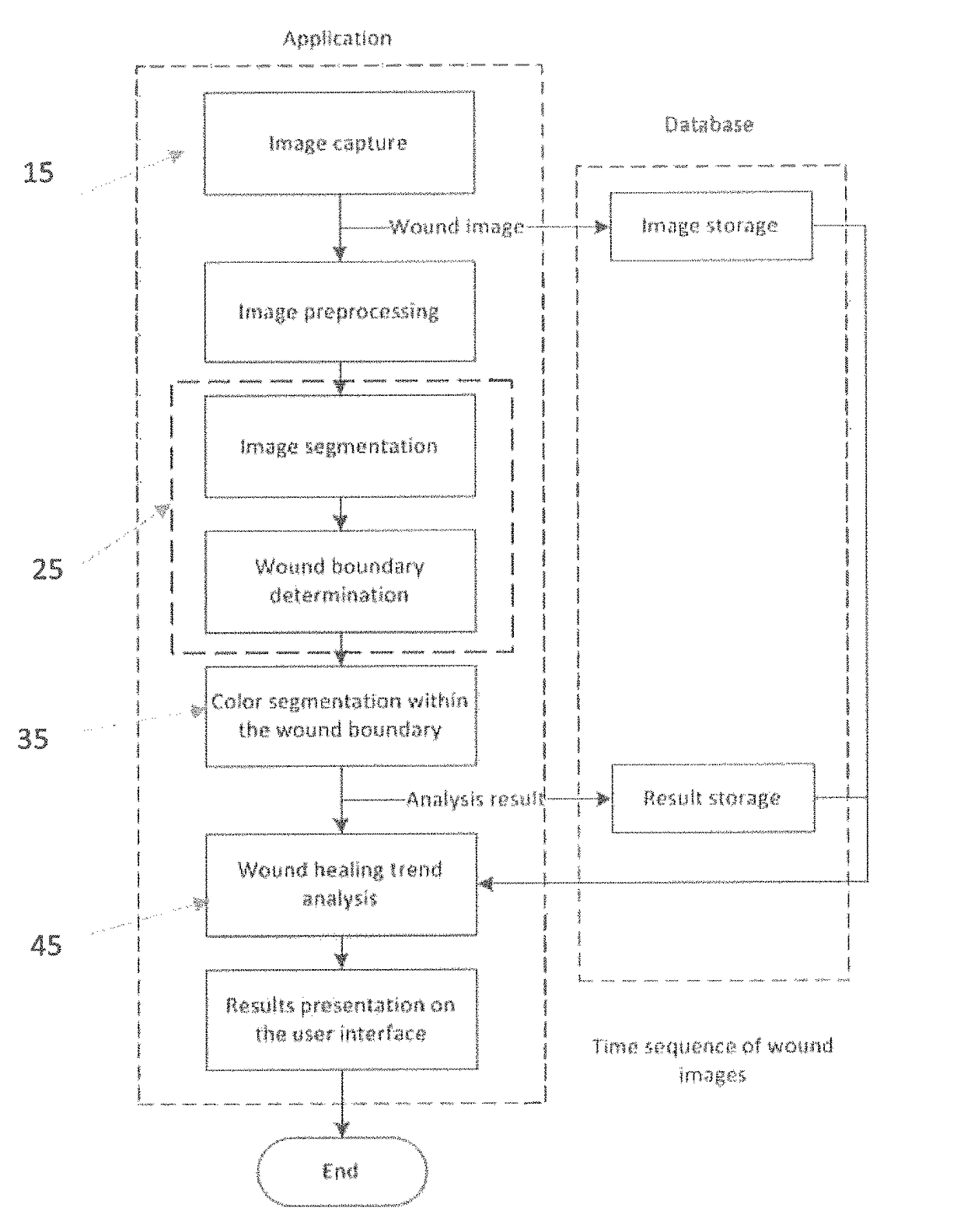 System and method for assessing wound