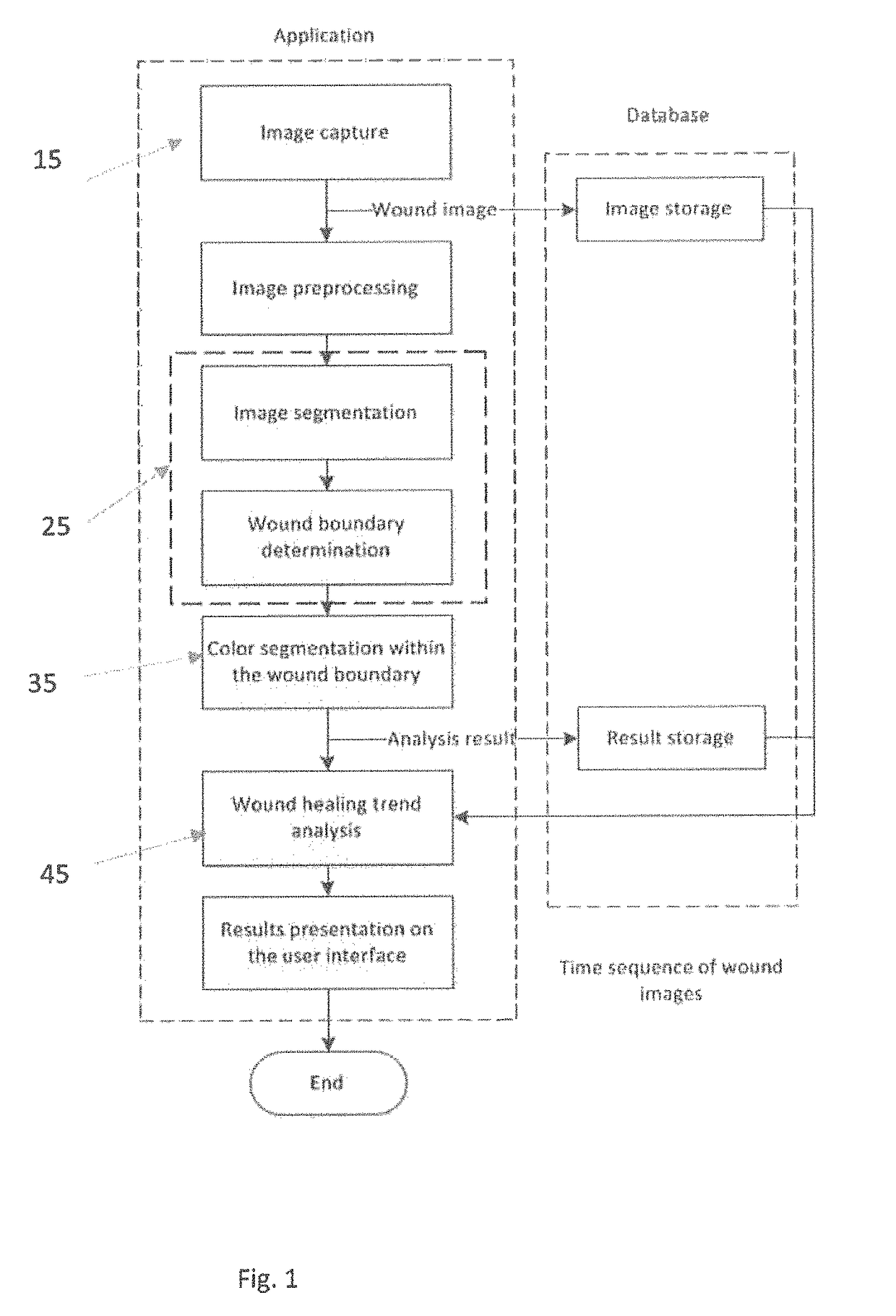 System and method for assessing wound