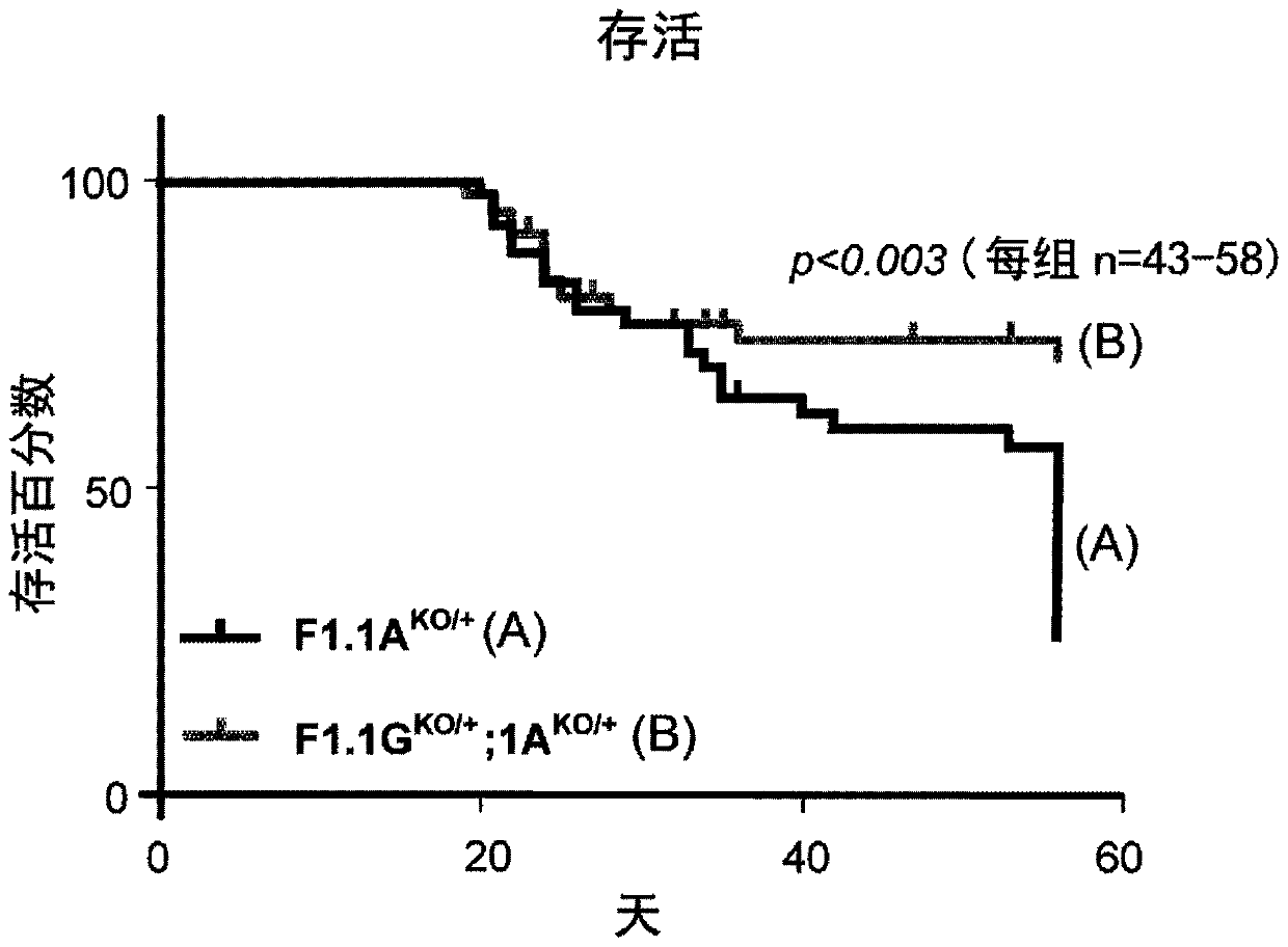 Methods for treating dravet syndrome