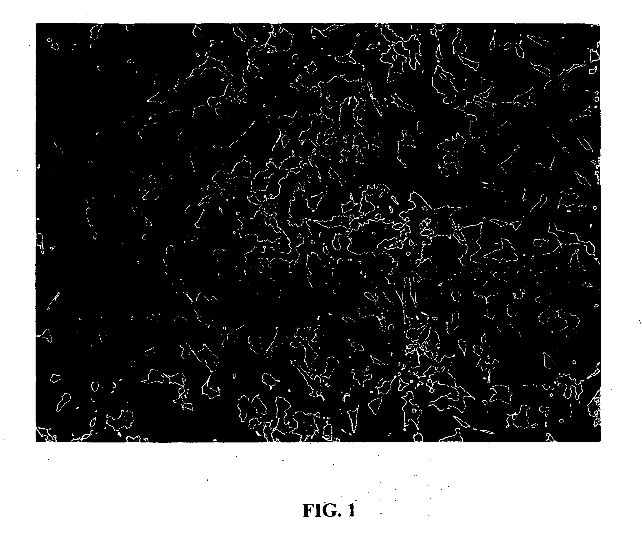 Stem cell comprising tissue substitutes