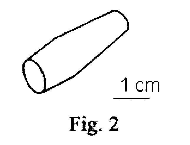 Stem cell comprising tissue substitutes