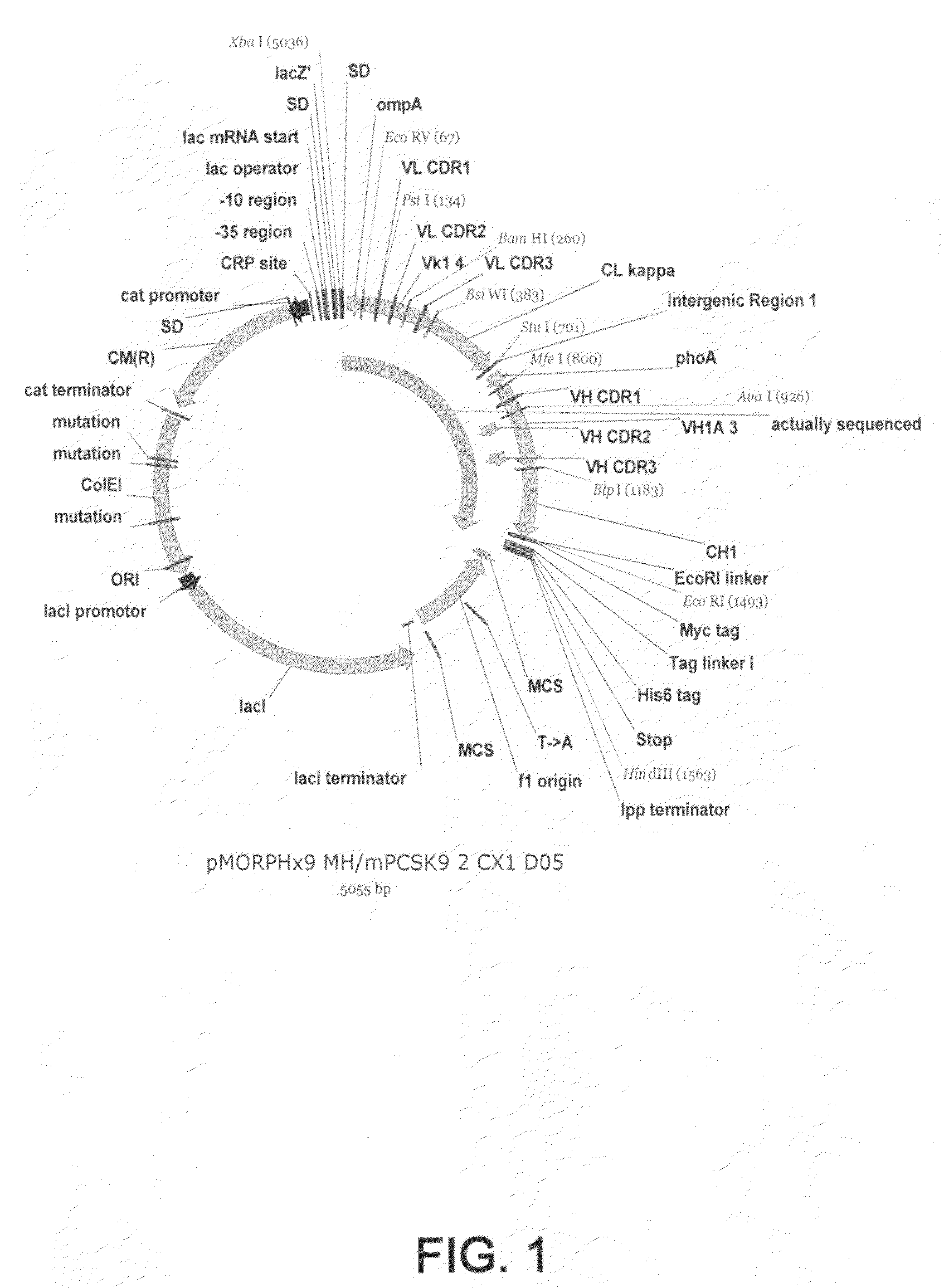 1D05 PCSK9 antagonists