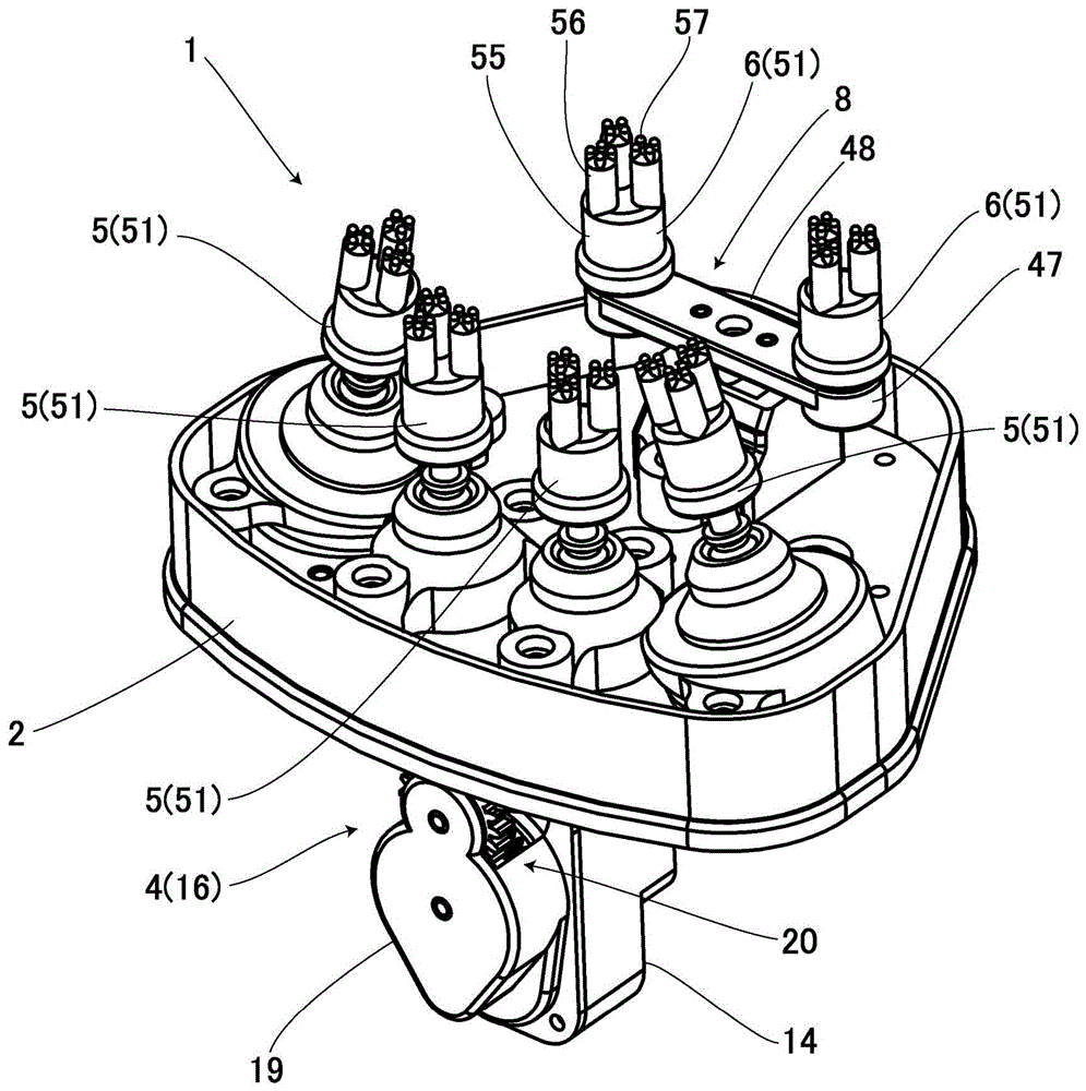 Care device for head skin