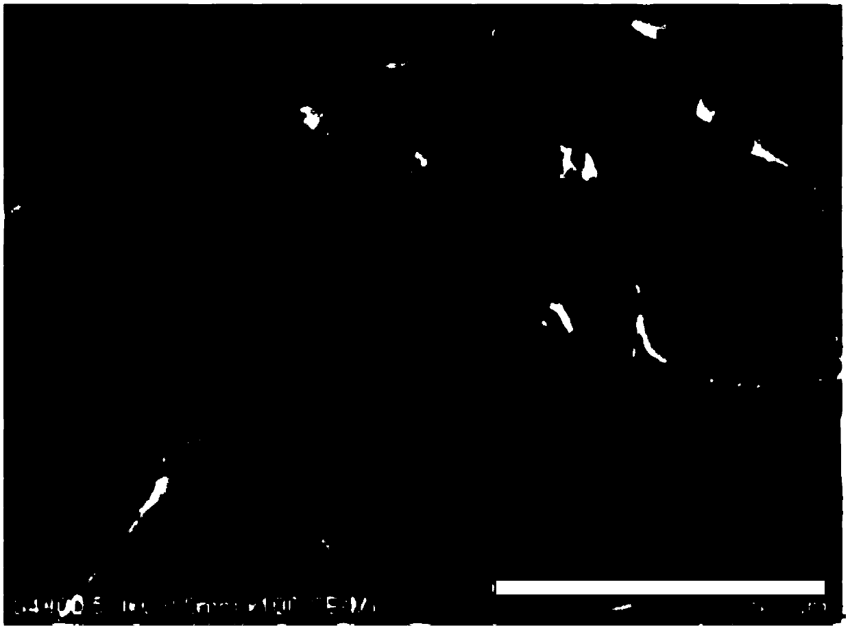 Super-hydrophobic oleophilic sponge material and preparing method and oil-water separation application thereof