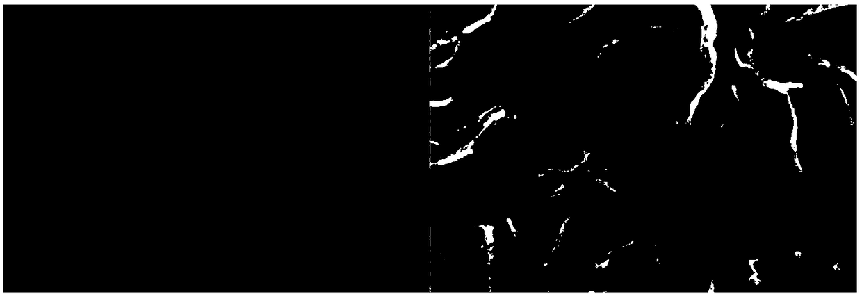 Multilevel structure metal oxide gas sensitive material and preparation method thereof