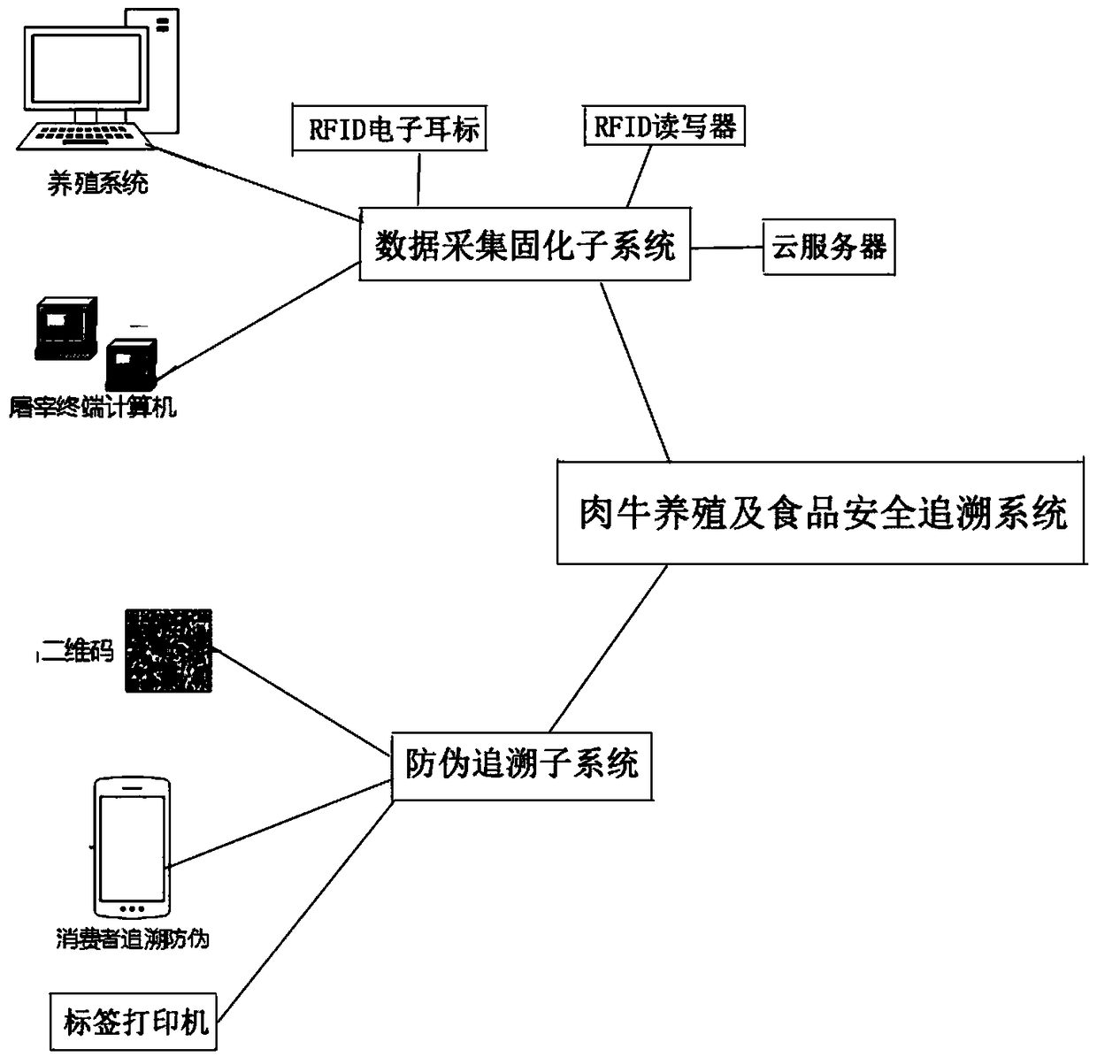 Beef-cattle breeding and food safety tracing system