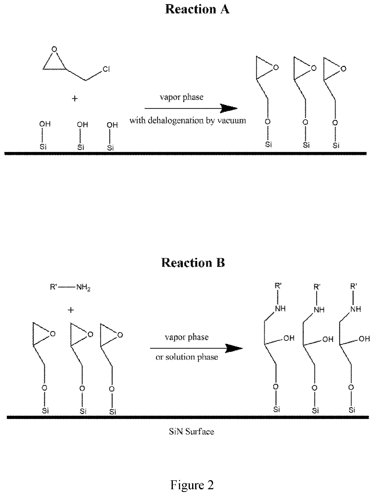 Functionalized silicon nanomembranes and uses thereof