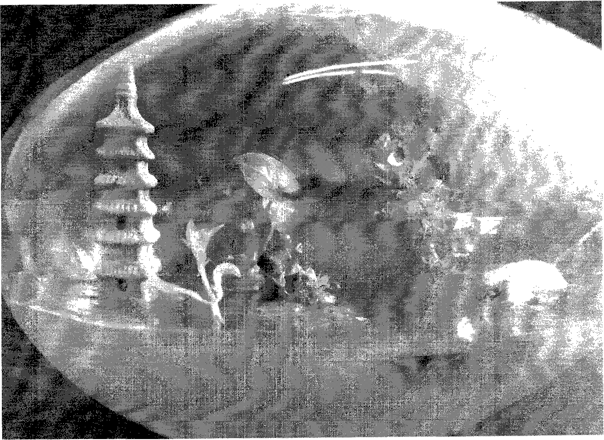 Method for producing sterilized miniascape