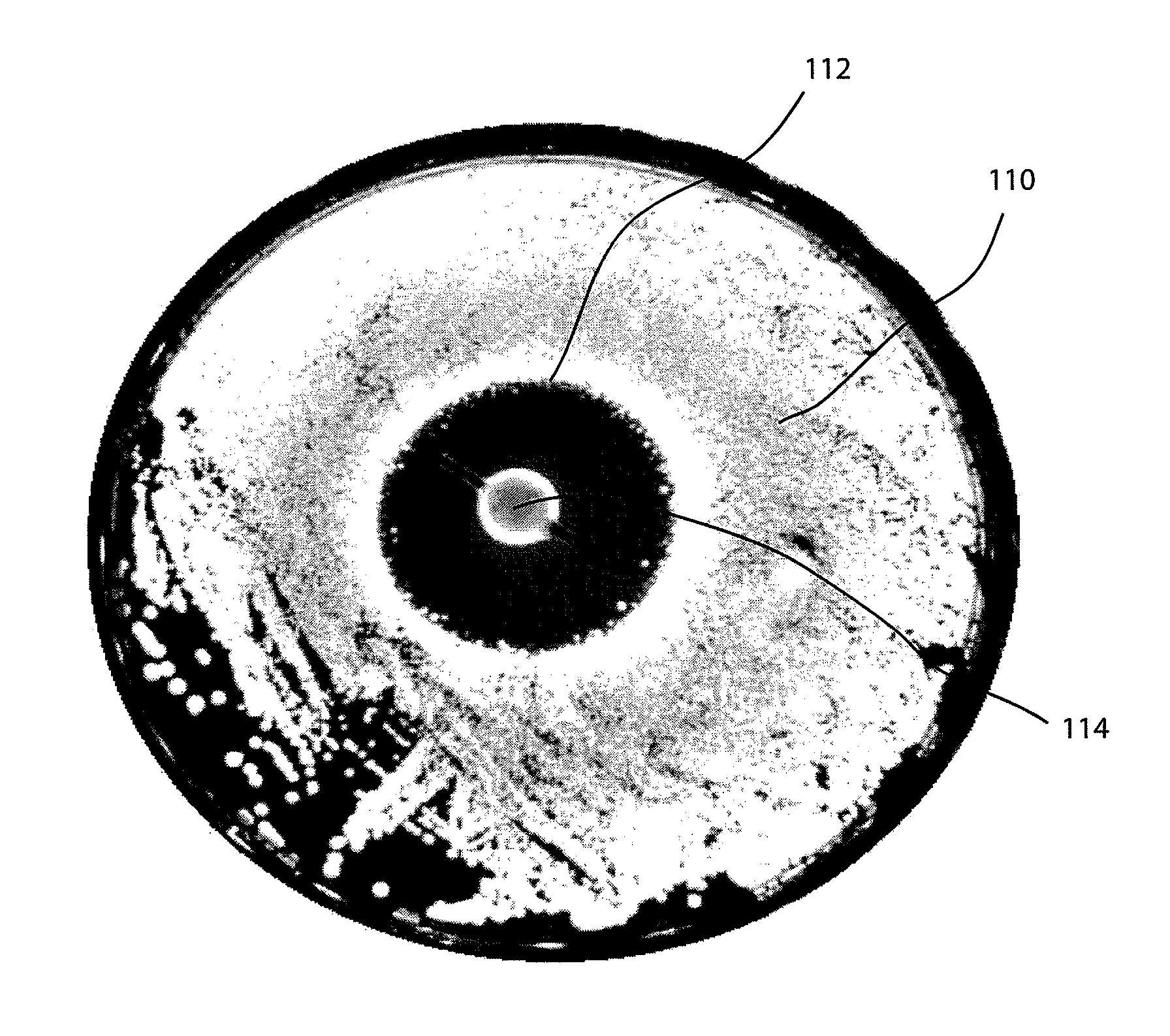 Coating composition