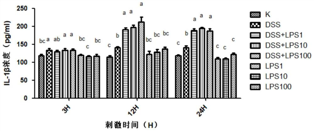 A method for establishing a mouse primary colonic mucosal epithelial cell inflammation model induced by dextran sulfate sodium combined with lipopolysaccharide