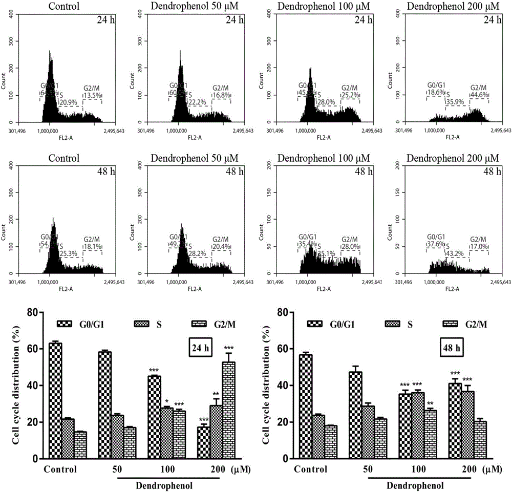 Application of dendrophenol in preparing medicines for inhibiting proliferation of cervical carcinoma cells and for inducing autophagic apoptosis of cervical carcinoma cells