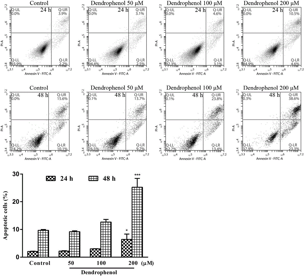 Application of dendrophenol in preparing medicines for inhibiting proliferation of cervical carcinoma cells and for inducing autophagic apoptosis of cervical carcinoma cells