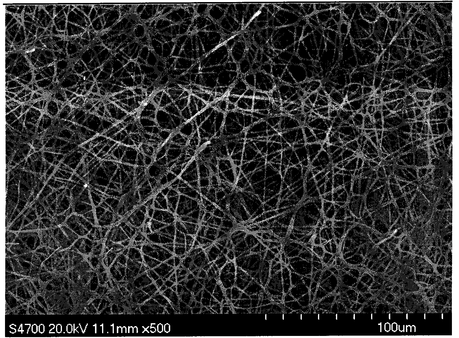 Biomimetic calcium phosphate fiber composite bracket material and preparation method thereof