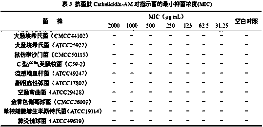 Antimicrobial peptide, coding sequence and preparation method