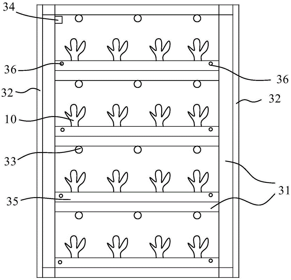 Control system adjusting growth of indoor plants