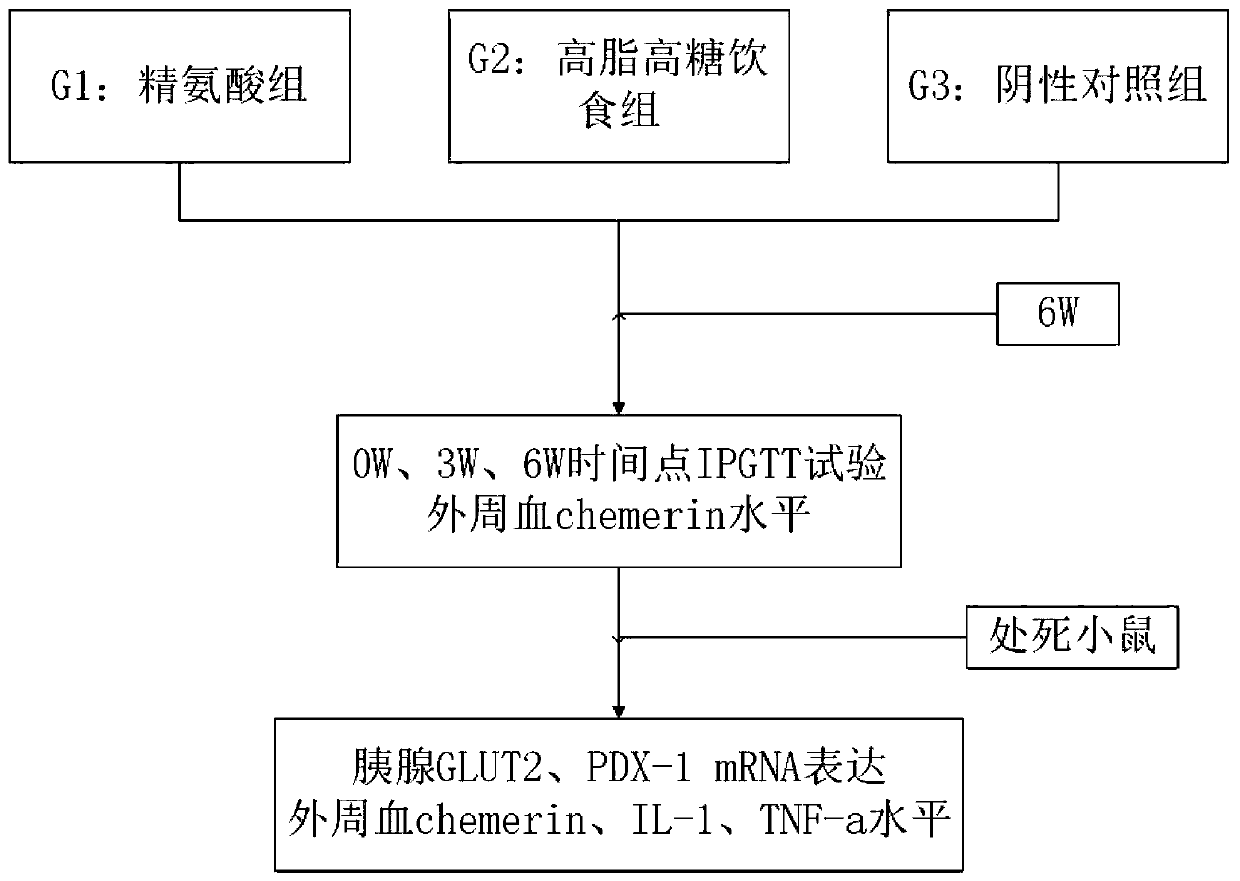 Method for measuring regulation and control of Chemerin on insulin resistance and intervention of CMKLR1 agonist