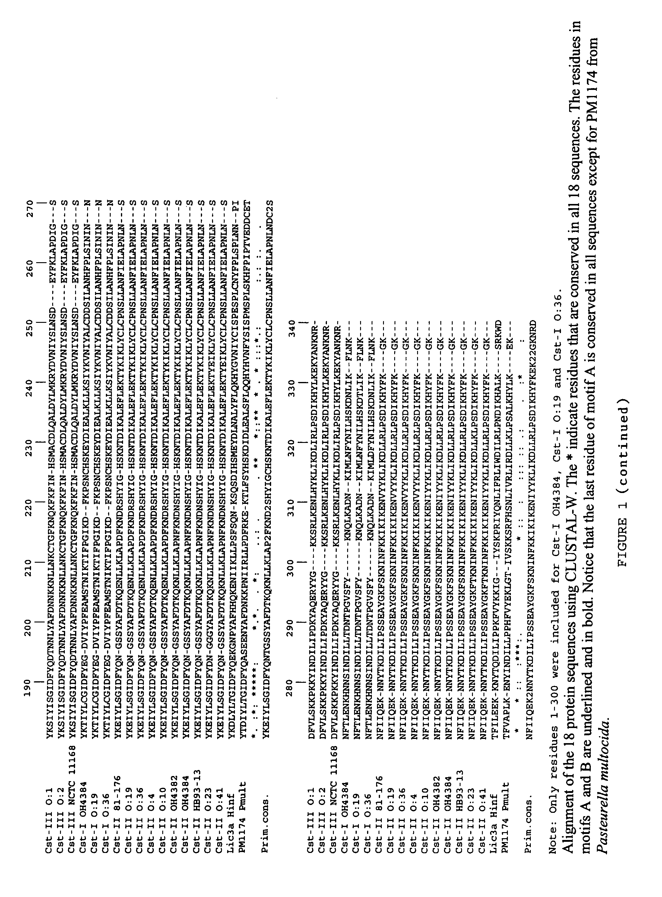 Sialyltransferases comprising conserved sequence motifs